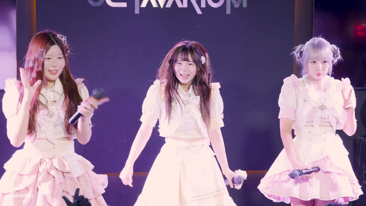 250109 엔토레 나라 - There's no fairytale + 君キミ、恋病 + 証 + あしたのサンライズ 『옥타바리움 1주년 감사공연 DAY 1』 직캠