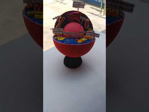 Maqueta de la