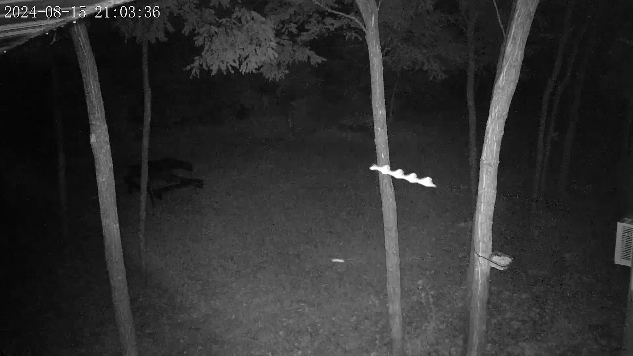 A Paranormal Flying Rod Zigzagging Around 08/15/2024 - YouTube
