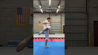 Tornado Kick (Pivot Style) - 360 Kick - Narabam Tutorial - Taekwondo Martial Arts Karate Kickboxing