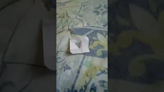 Justme-Q9O, , , -Hw6Zz E