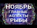 РЫБЫ. Таро прогноз на НОЯБРЬ 2021. Таро онлайн.