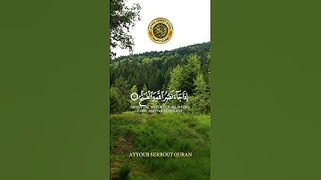 سورة النصر تلاوة الشيخ خالد الجليل #اكسبلور