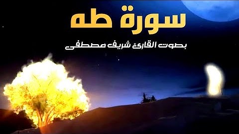 قال ربي اشرح لى صدرى ويسر لى امري // القارئ شريف مصطفى سورة طه