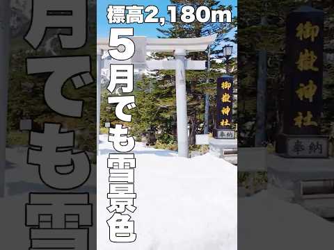 やまテラス王滝に開通日に行ってみた！GWでも残雪！標高2,180mまで車で行ける！【御嶽山ビジターセンター】 #田の原 #長野県 #王滝村 #御嶽山 #やまテラス王滝 #田ノ原天然公園 #三笠山