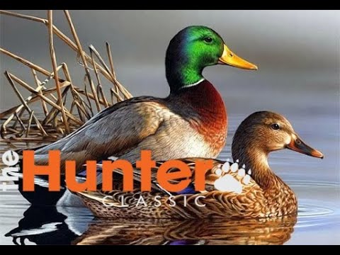 thr Hunter. Охота на уток для НОВИЧКОВ