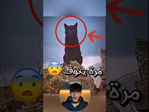 لهيك ما لازم أبدا تحاول تتكلم مع الحيوانات السوداء يا ساتر 