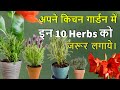 इन 10 Herbs Plant को जरूर उगाये।10 Medicinal Herbs Plant For Kitchen