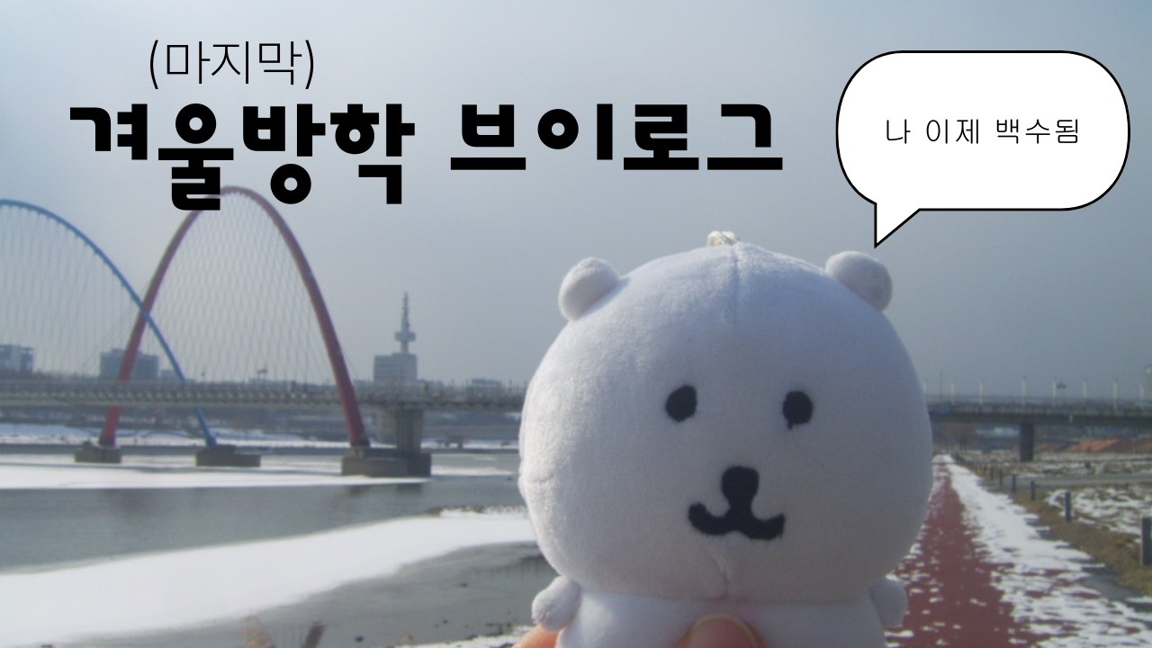 [Vlog] 마지막 겨울방학 브이로그 - 두쫀쿠 오픈런, 빈티지 디카 출사, 토익 시험