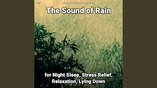 The Sound of Rain Pt. 13