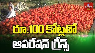 టమాటా రైతులకు చేయూత కోసం ఆపరేషన్ గ్రీన్స్ | Operation Greens Scheme For Tomato Farmer | hmtv Agri
