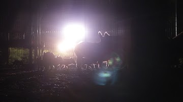 Mobile Remote Triggered Hog Trapping - The Management Advantage