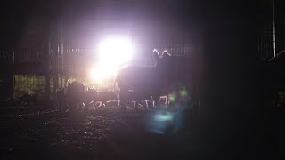 Mobile Remote Triggered Hog Trapping - The Management Advantage 