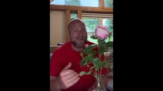 Personal review of “Alnwick rose” ￼from @david_austin_roses ￼