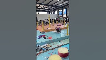 Robot #ai #bostondynamics #chatgpt #elonmusk #openai #robotics #technology #tech #tesla