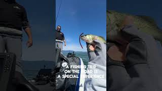 Extraordinary Fishing Journey: From Clear Lake, CA to Lake Biwa