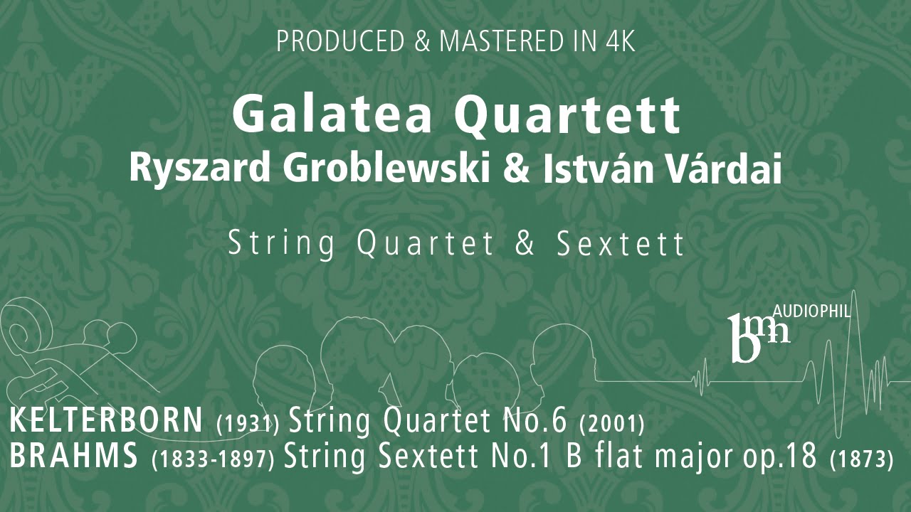 Guarda Johannes Brahms  Streichsextett Nr  1, B dur, op  18  II Andante ma moderato su YouTube