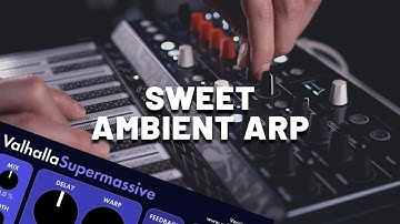 Sweet Ambient Arp with Arturia MicroFreak [Synthesizer Demo] (No Talking)