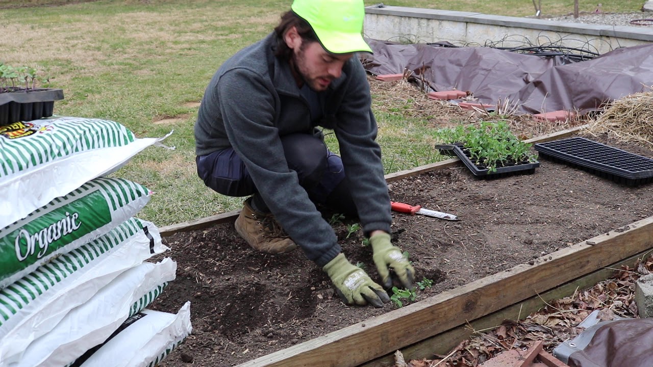 My Process for Seeding into the Spring Garden - YouTube
