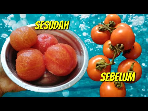 Video: Cara Menggunakan Oregano dalam Memasak (dengan Gambar)