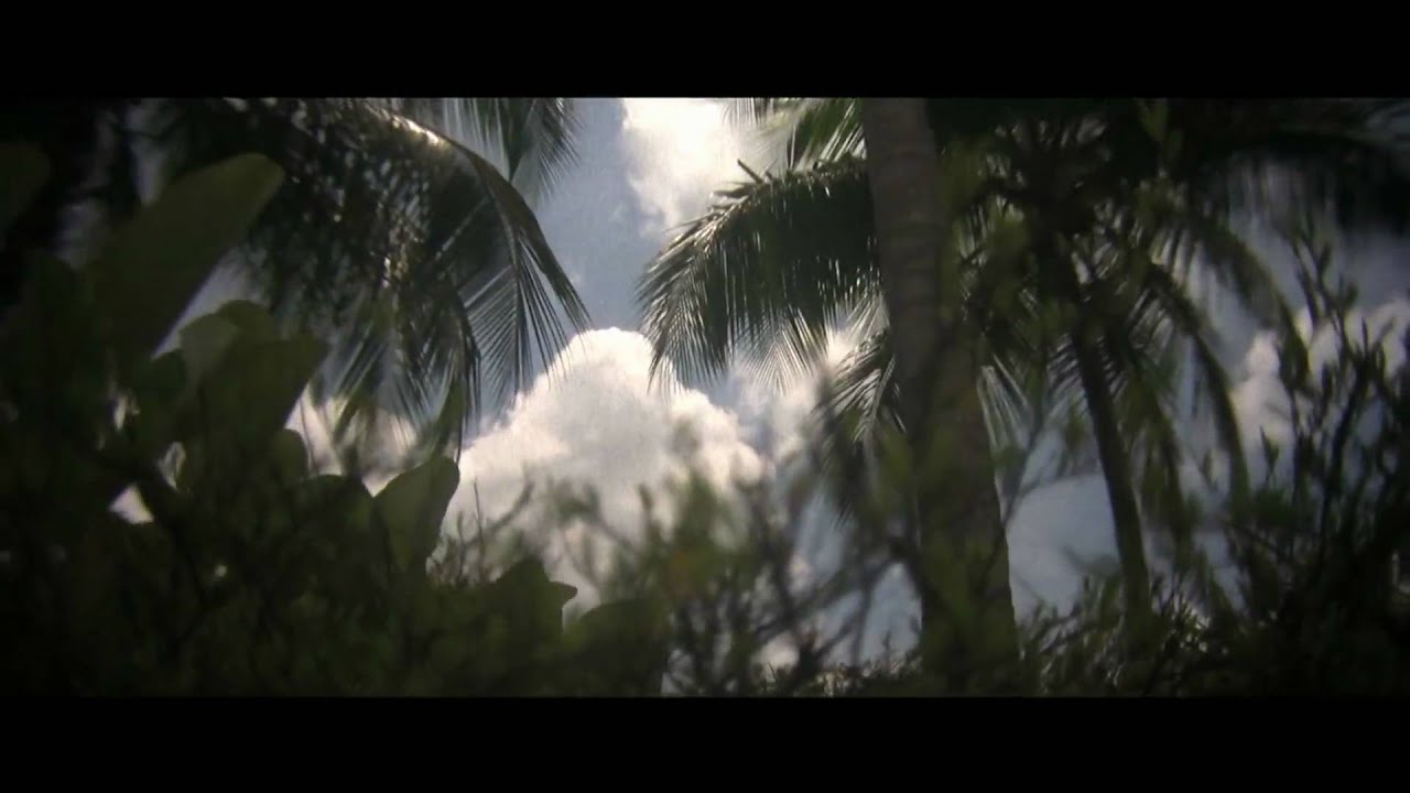 Emulating old film stock