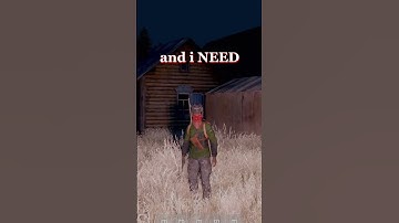 Twitch Chat Is Our Voice in DayZ