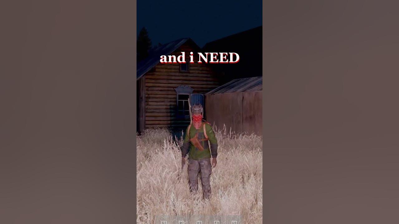 Twitch Chat Is Our Voice in DayZ YouTube