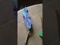 Wowed stick tree