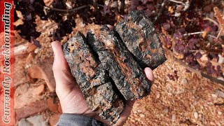 This Incredibly Unique Seam Agate Will Impress You!
