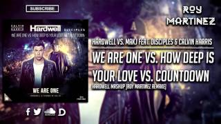 We Are One Vs How Deep Is Your Love Vs Countdown hardwell Mashup roy Martinez Remake