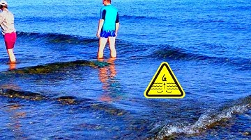 If You See Square Waves In The Ocean Get Out Of The Water Immediately