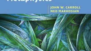 A Critical Response to Carroll & Markosian's "An Introduction to Metaphysics"
