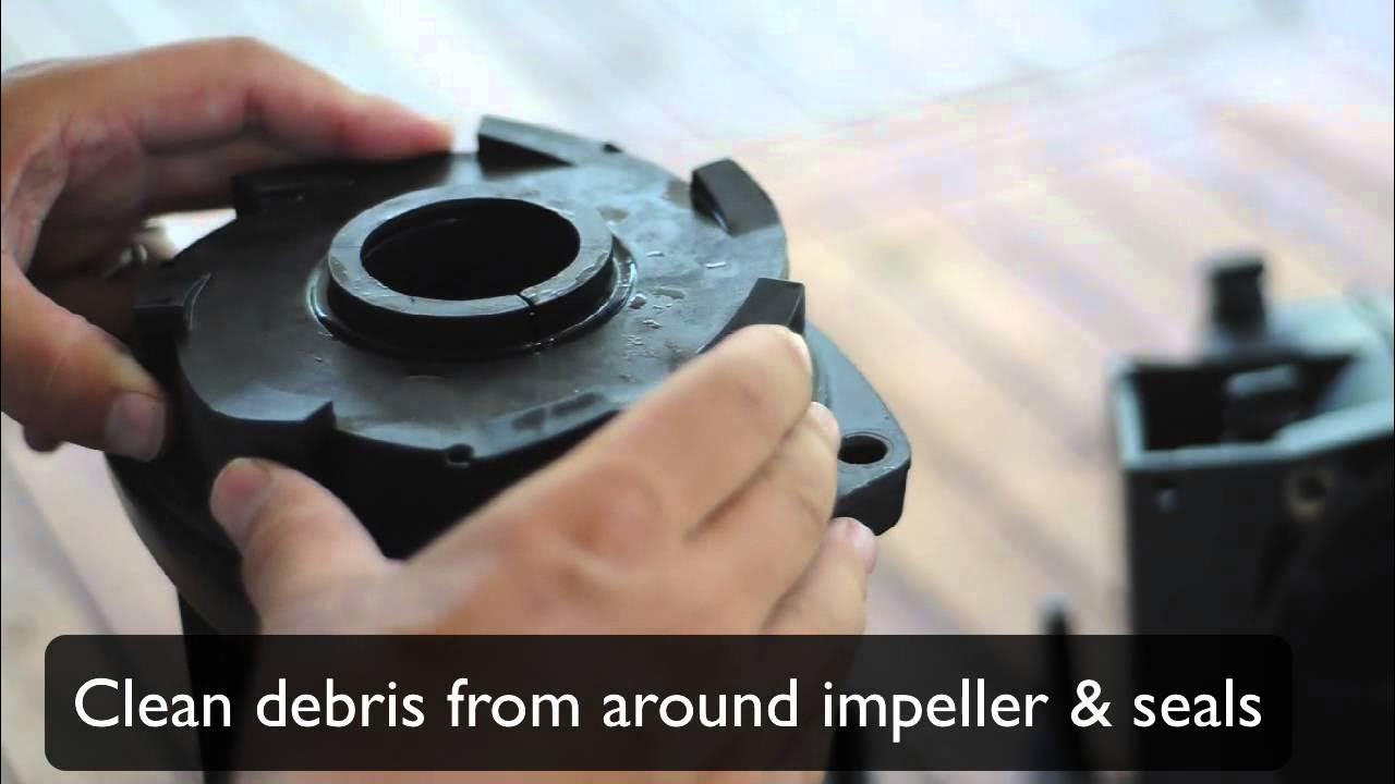 How to fix your pool pump from humming YouTube
