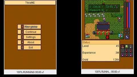 Autohunt Tibiame 24 Hours