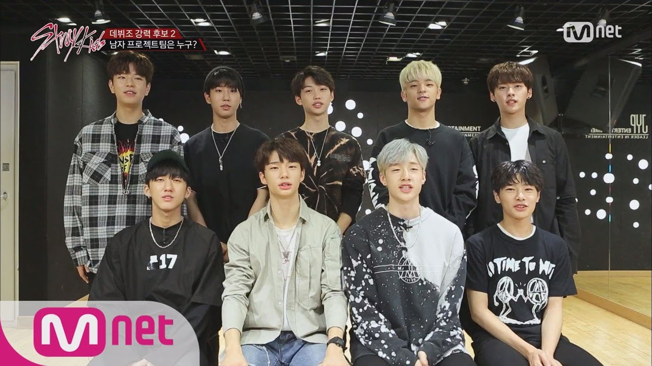 Stray kids участники с именами и фото биография