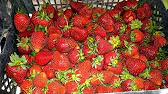 АНАПА Натка_солнце