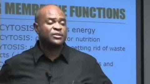 07. Membrane Physiology - 1.flv