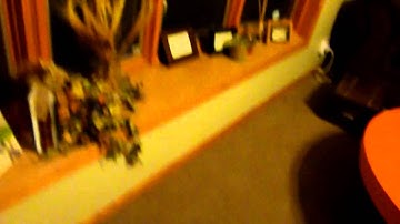 Pine Cone Experiment!