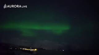 AURORA live at Aurora Spirit Distillery, Norway