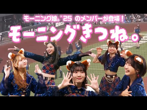 モーニングきつね モーニング娘 25がきつねダンスを踊ってみた