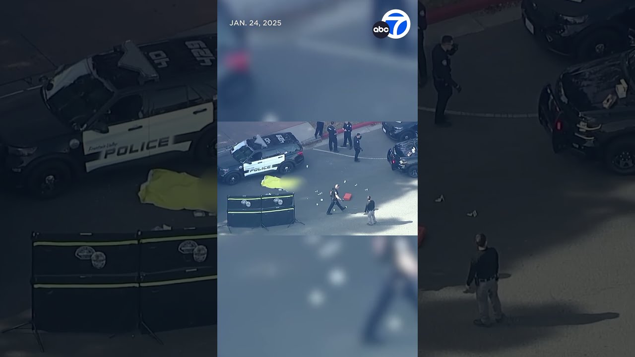 Man Snatches Gun From Cop Before Her Partner Shoots Him
