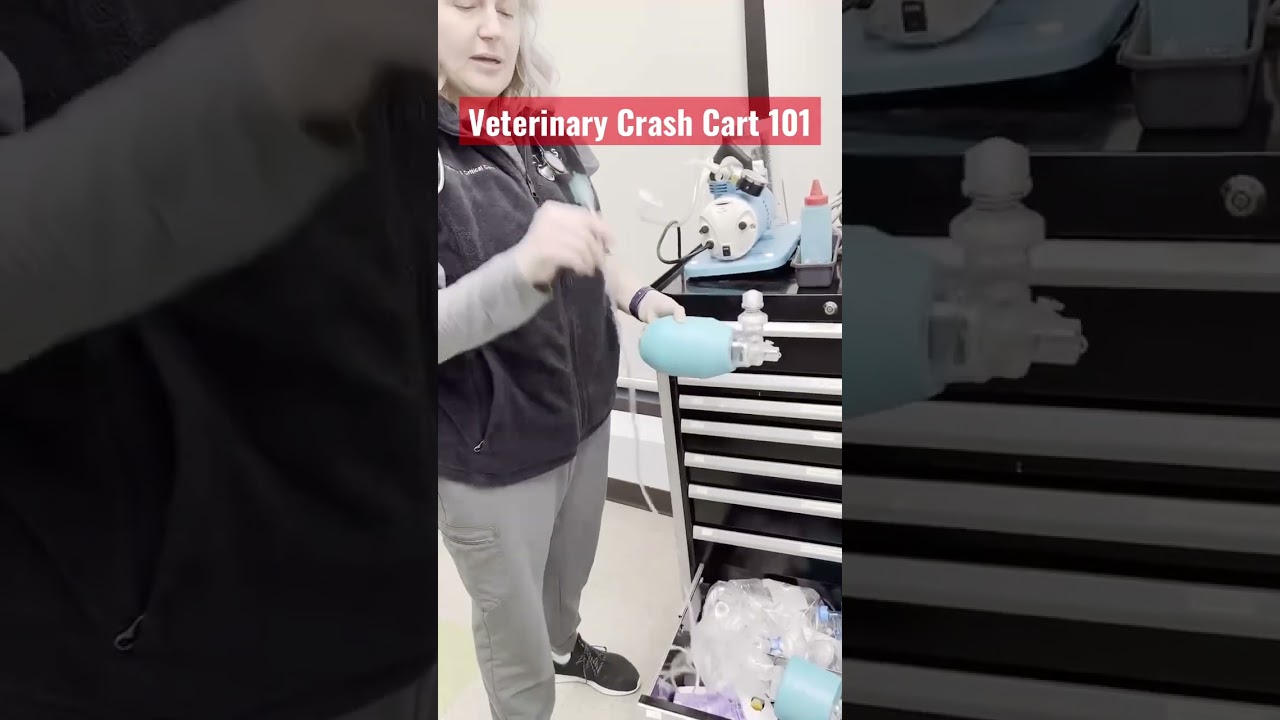 When a Pet Stops Breathing: Veterinary Emergency Crash Cart 101 #veterinarymedicine