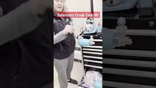 When a Pet Stops Breathing: Veterinary Emergency Crash Cart 101 #veterinarymedicine