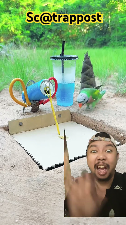 JEBAKAN BURUNG SEDERHANA PART3 #experiment #shortsfeed #shorts