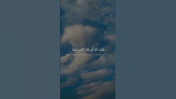 فَأَقِمۡ وَجۡهَكَ لِلدِّينِ حَنِيفٗاۚ | محمد صديق المنشاوي | سورة الروم