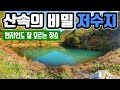 현지인도 모르는 산속의 비밀 저수지 제가 찾아가서 낚시를 했습니다.