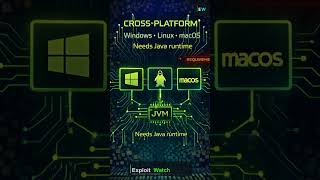 Ghidra: NSA’s open-source reverse engineering framework (decompiler + scripting)