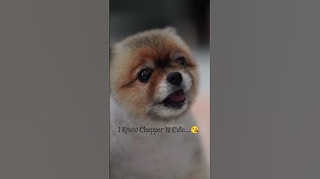 #mewsuppasit #mgpfg  #mewgulf#gulfkanawut #waanjaimewgulf#mewgulfisreal#mewgulf#tharntype