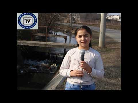 სკოლავიზია   - დაბინძურებული სარწყავი არხი წერეთელში