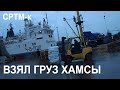 МОРОЗИЛЬНЫЙ ТРАУЛЕР СРТМ-к ПРИШЁЛ ПОЛНЫЙ С АНЧОУСНОЙ ХАМСОЙ